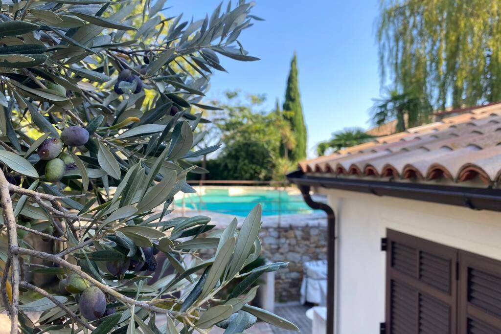 Relais San Sebastiano Villa Pietra Ligure Dış mekan fotoğraf