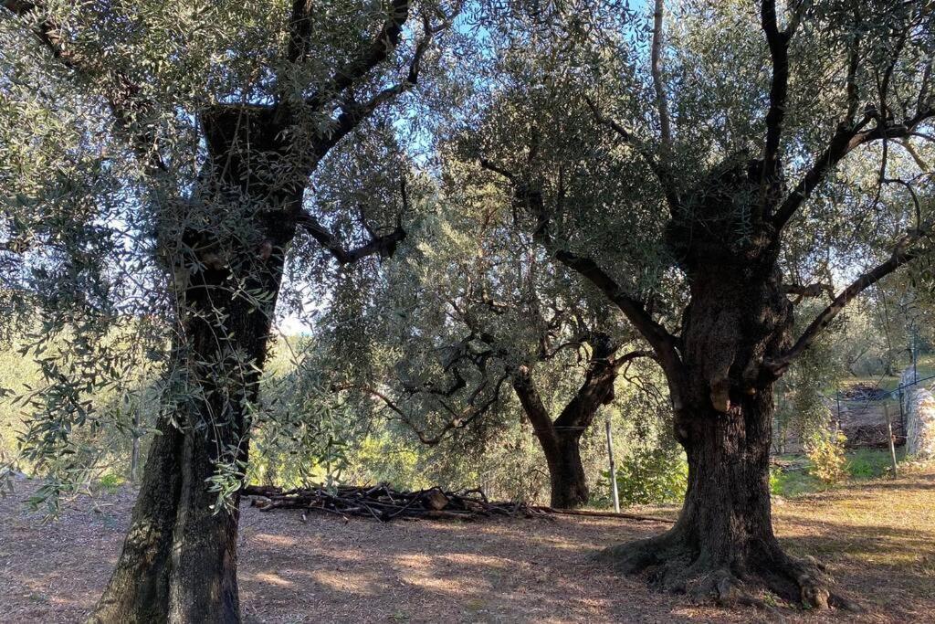 Relais San Sebastiano Villa Pietra Ligure Dış mekan fotoğraf